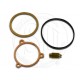 Kit remplacement pointeau 0.096 (Viton type)"