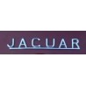Inscription Jaguar" sur coffre"