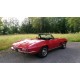 CHEVROLET Corvette Sting Ray (1966)